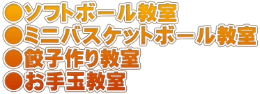 ���\�t�g�{�[������ ���~�j�o�X�P�b�g�{�[������ ���L�q��苳�� ������ʋ���